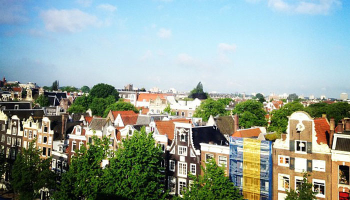 在线手机号轰炸网页版